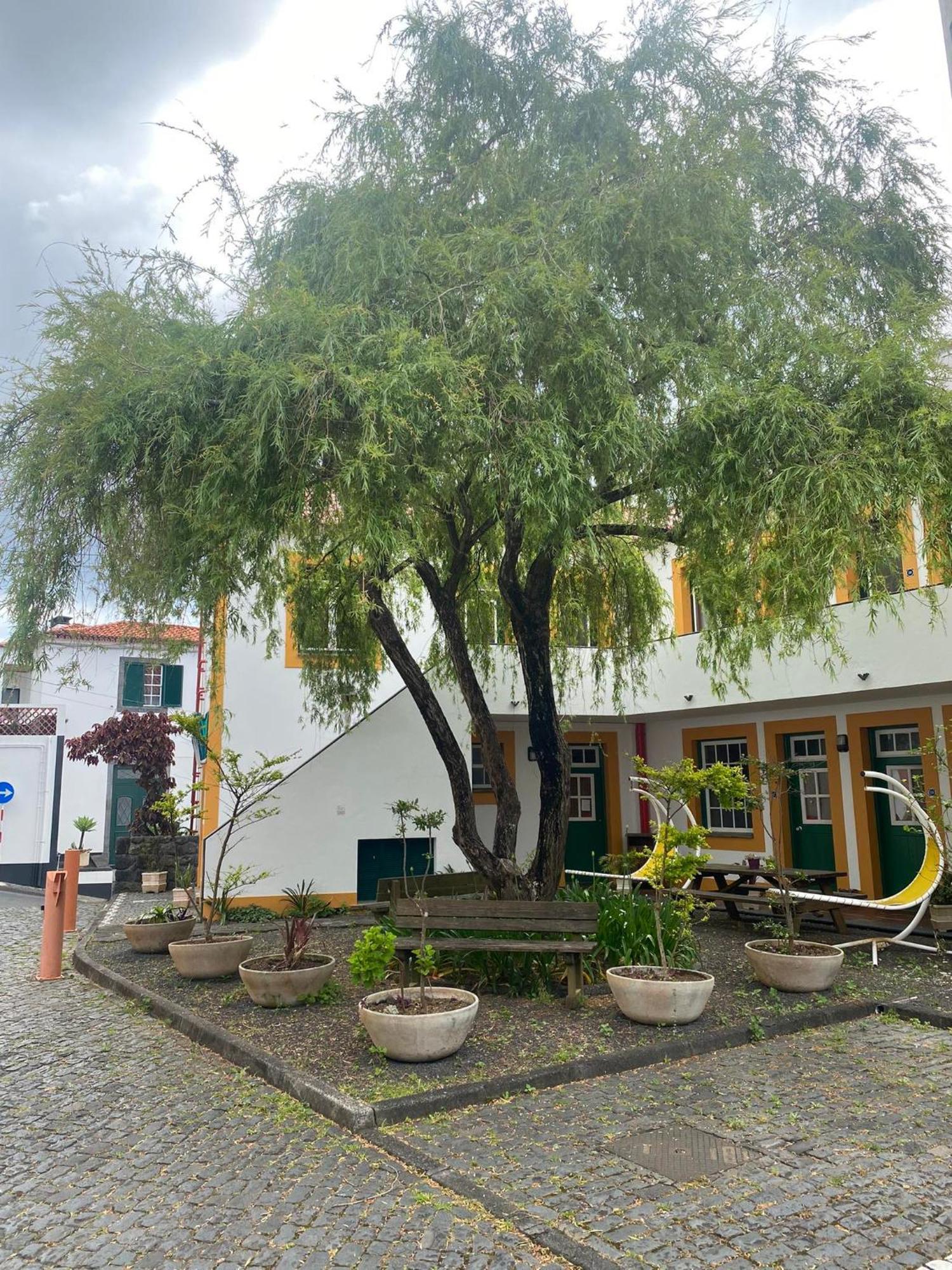 Hospedaria Verdemar Орта Экстерьер фото